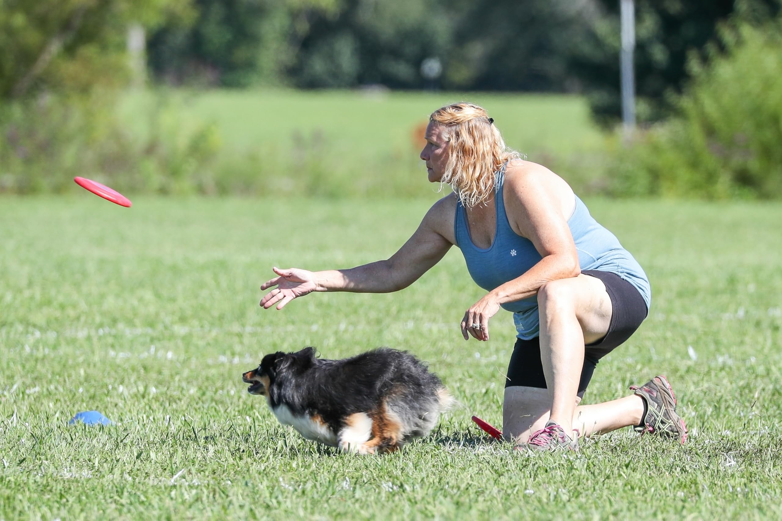 Hyperflite Pup Jawz disc being retrieved during fetch.