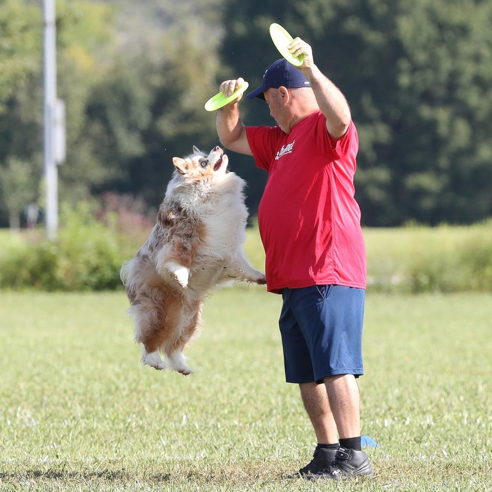 Hyperflite Pup Jawz dog flying disc shown in profile to convey its small-dog format.