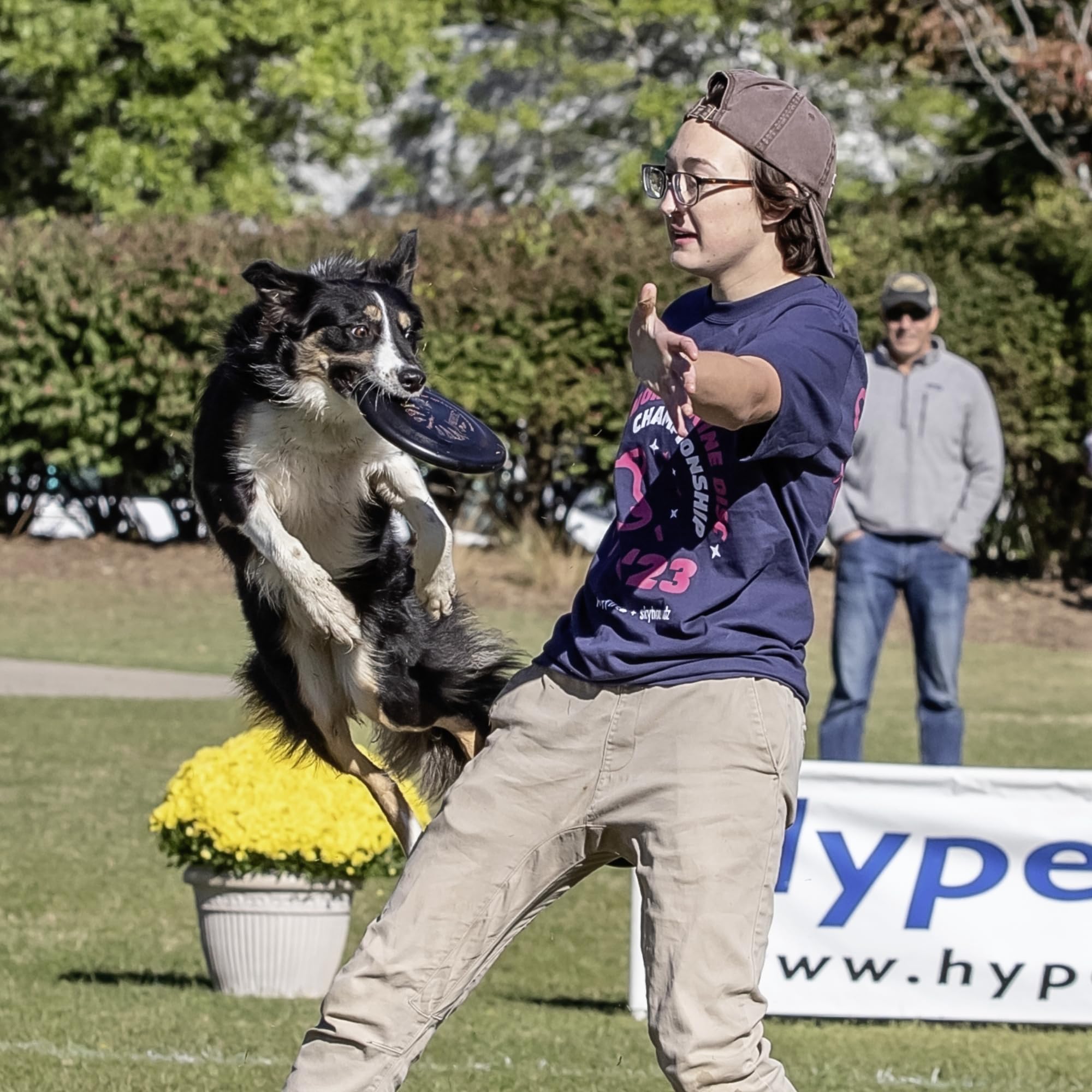Hyperflite Pup Jawz dog flying disc shown with a small dog.