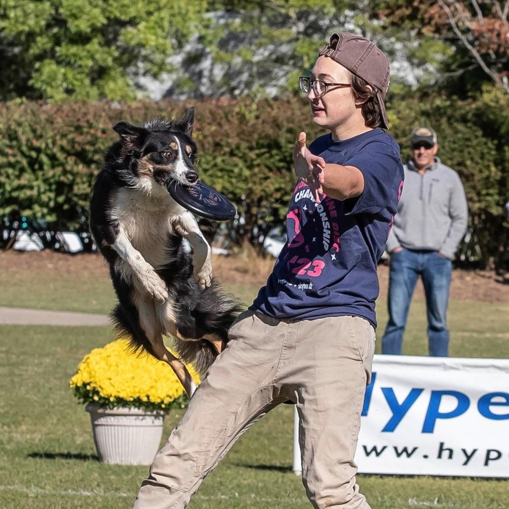 Hyperflite Pup Jawz dog flying disc shown with a small dog.