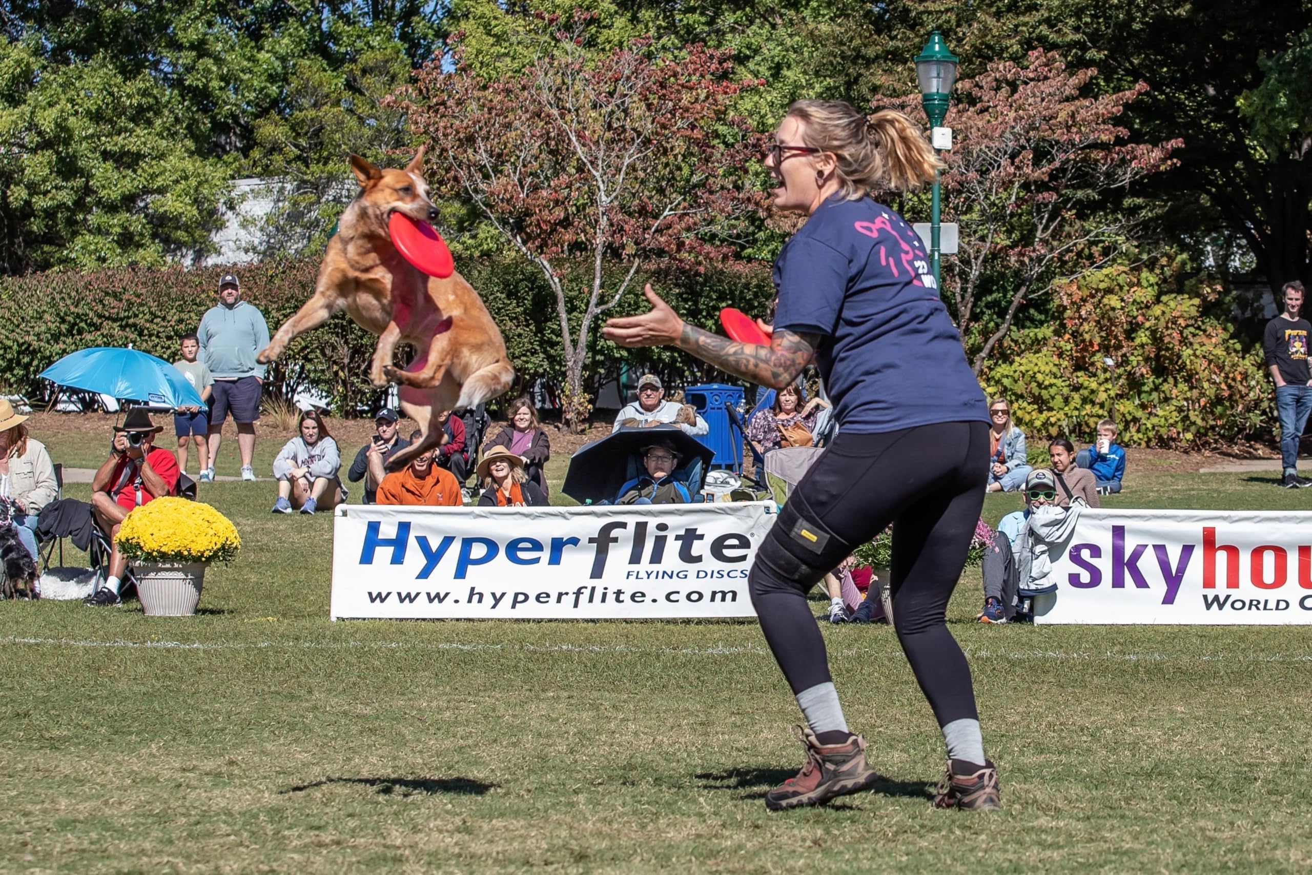 Hyperflite Pup Jawz disc close-up highlighting X-Flash technology.