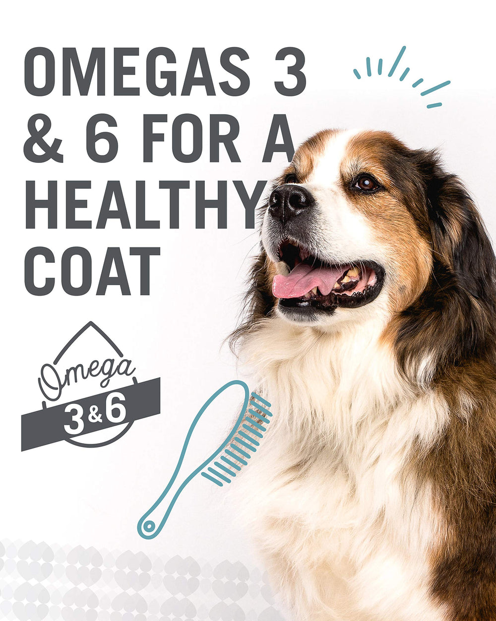 I AND LOVE AND YOU Lovingly Simple dry dog food grain-free recipe highlighted.