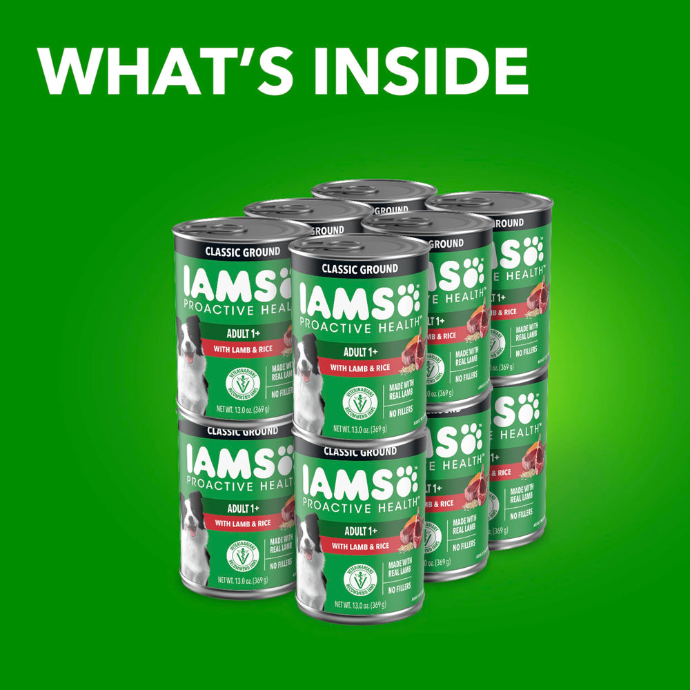 IAMS wet dog food 12-pack shown together.