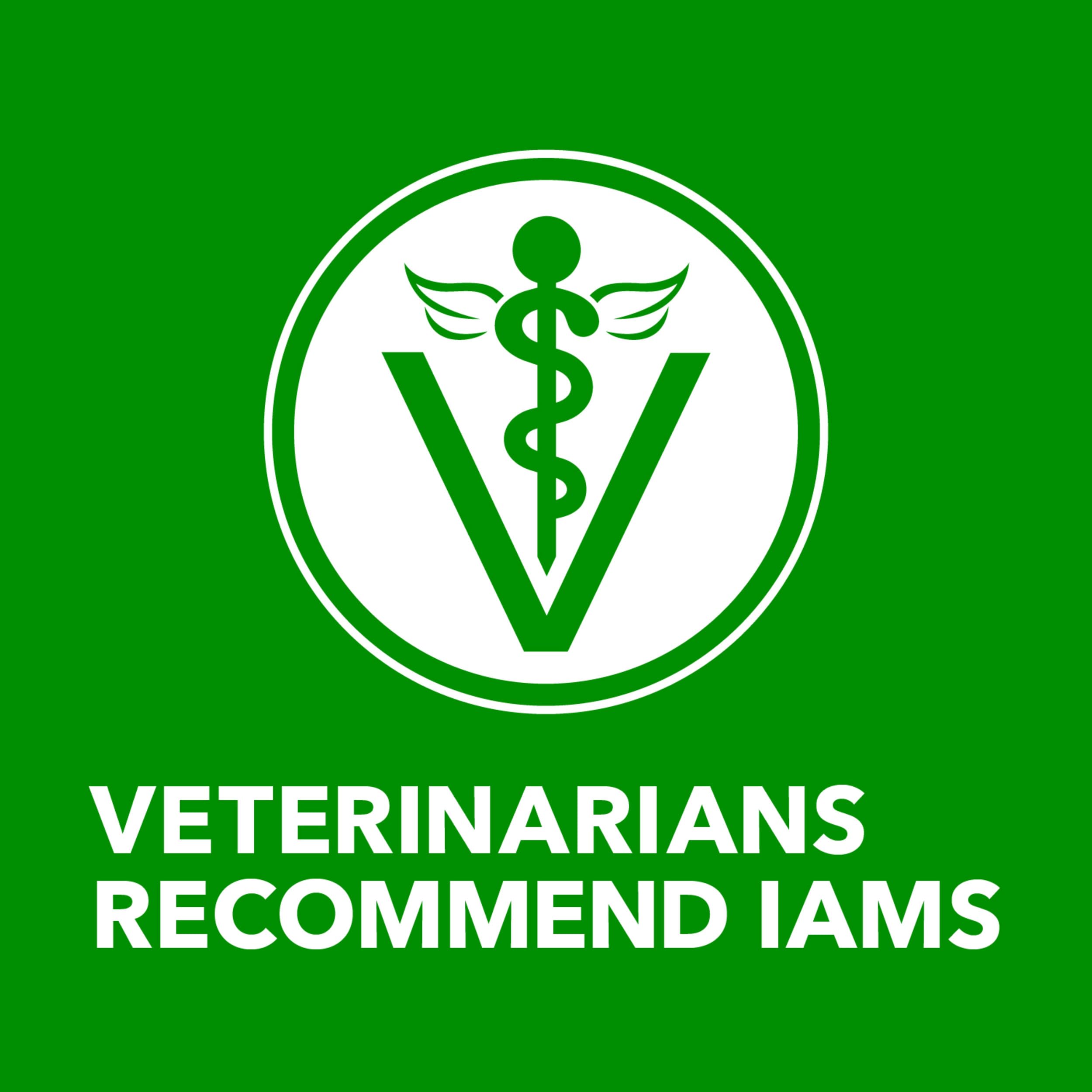 IAMS wet dog food package shown from the side.
