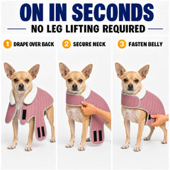 iBuddy small dog winter coat showing its adjustable belly strap.