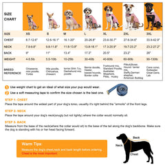 iBuddy small dog winter coat showing the Velcro neck closure.