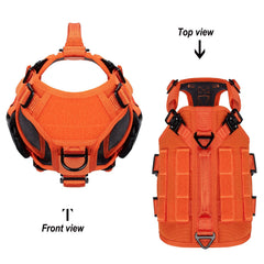 ICEFANG dog harness detail showing quick-release buckles and adjustment points.