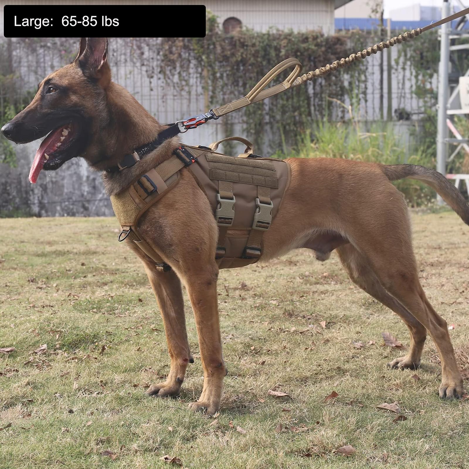 ICEFANG tactical dog harness close-up showing its quick-release buckles.