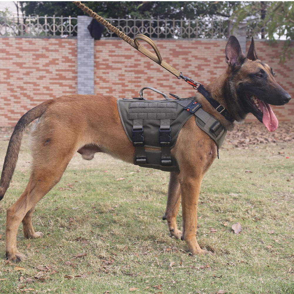 ICEFANG tactical dog harness close-up showing its quick-release buckles.