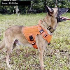 ICEFANG tactical dog harness buckle detail showing the neck and chest closures.
