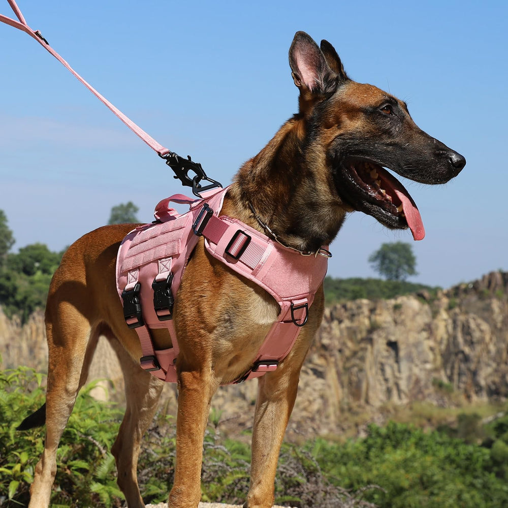 ICEFANG tactical dog harness showing its front chest leash clip.