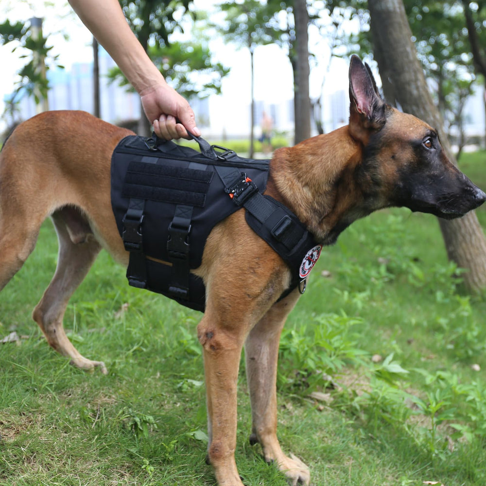 ICEFANG tactical dog harness showing its leash attachment rings.