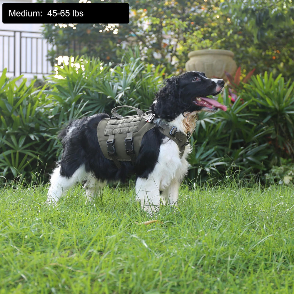ICEFANG tactical dog harness showing the front D-ring and neck and back V-rings.