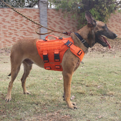 ICEFANG tactical dog harness showing its front, back, and neck leash rings.