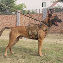 ICEFANG tactical dog harness showing its neck, back, and front leash rings.