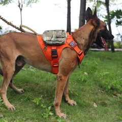 ICEFANG tactical dog harness showing its neck V-ring and front chest D-ring.