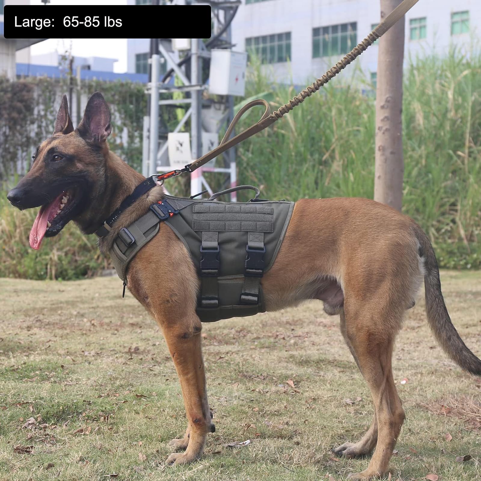 ICEFANG tactical dog harness close-up showing the neck, back, and chest leash rings.