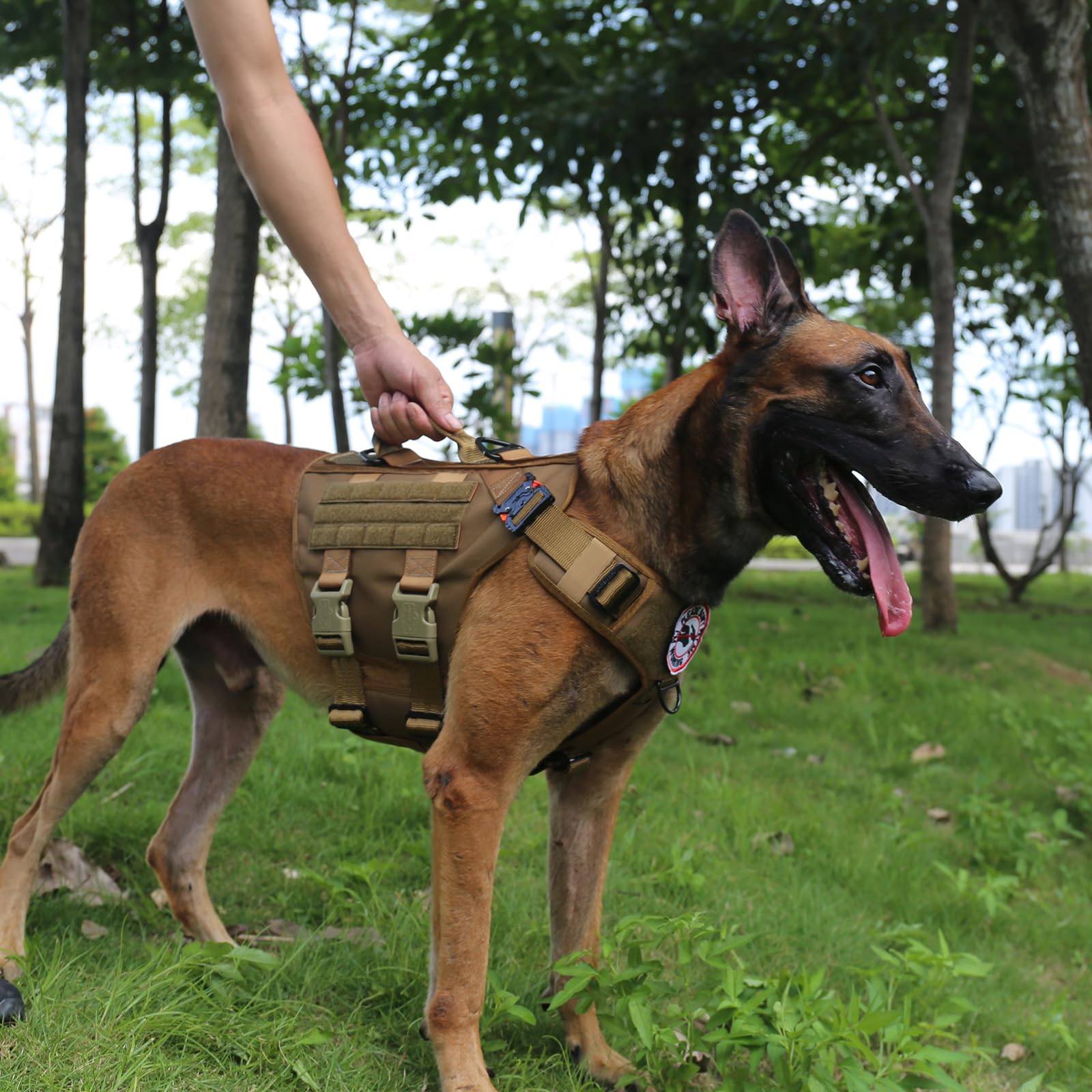 ICEFANG tactical dog harness detail showing the leash attachment rings.