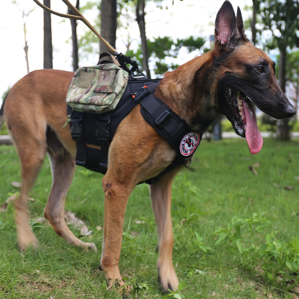 ICEFANG tactical dog harness showing the sewn loop panels.