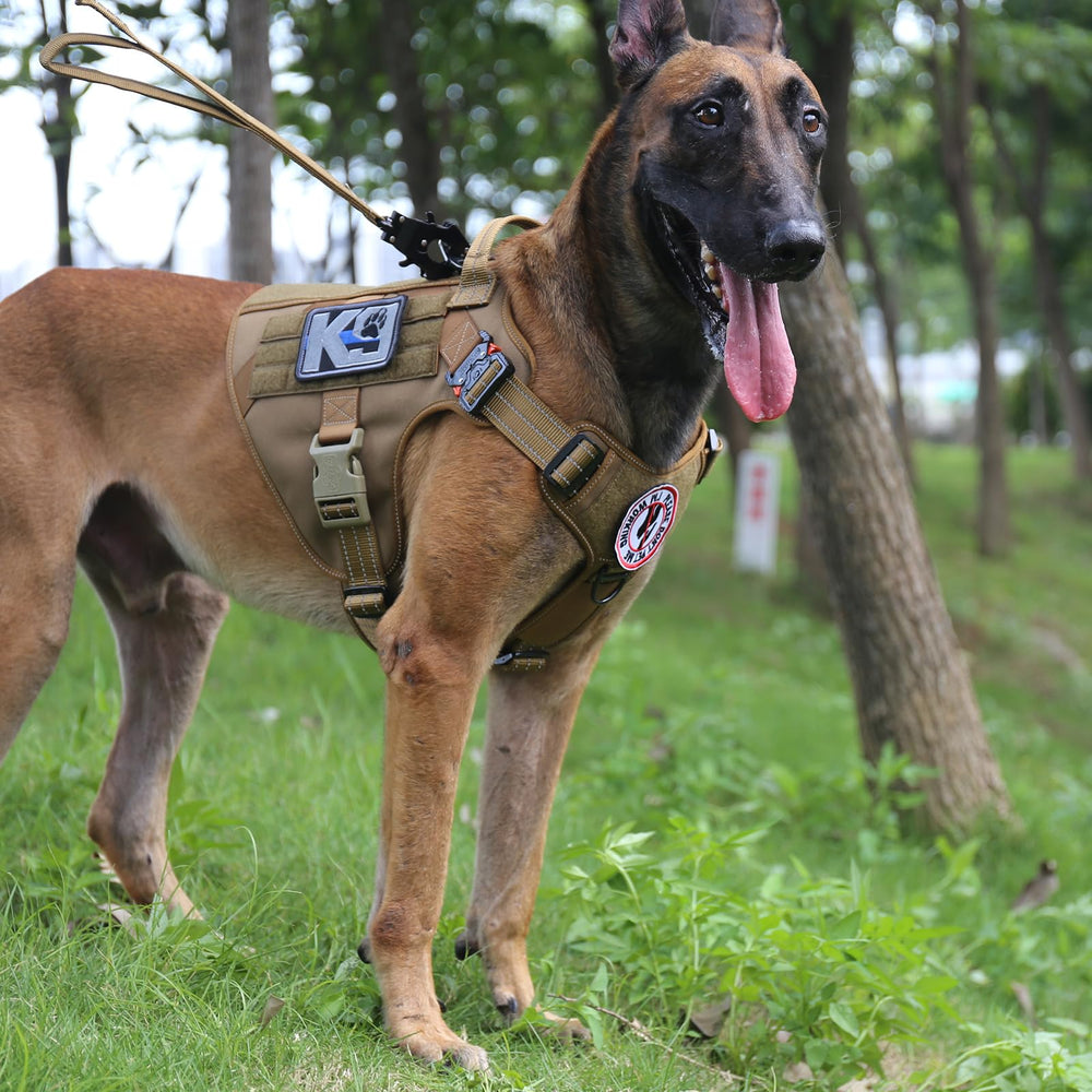 ICEFANG tactical dog harness detail showing its side MOLLE strips and loop panels.