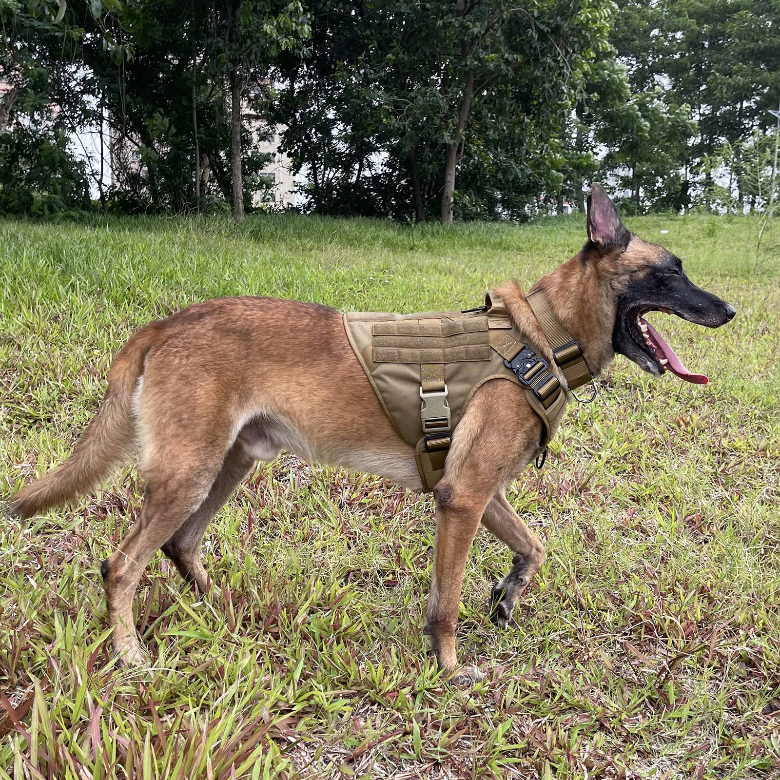 ICEFANG tactical dog harness close-up showing the aluminum neck buckles and plastic chest buckles.