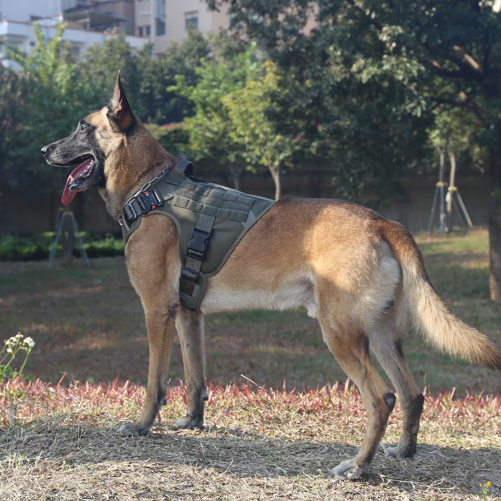 ICEFANG Tactical Dog Harness close-up showing the aluminium neck buckles and plastic chest buckles.