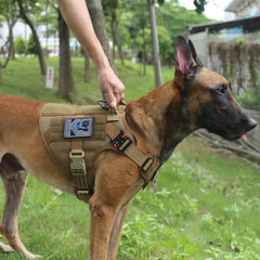 ICEFANG tactical dog harness close-up showing the neck buckles and reinforced seams.