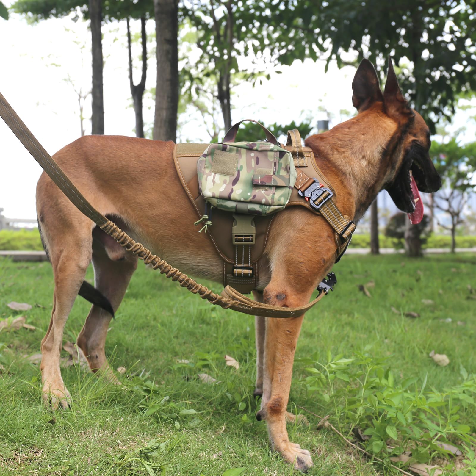 ICEFANG tactical dog harness shown on a dog during a walk.