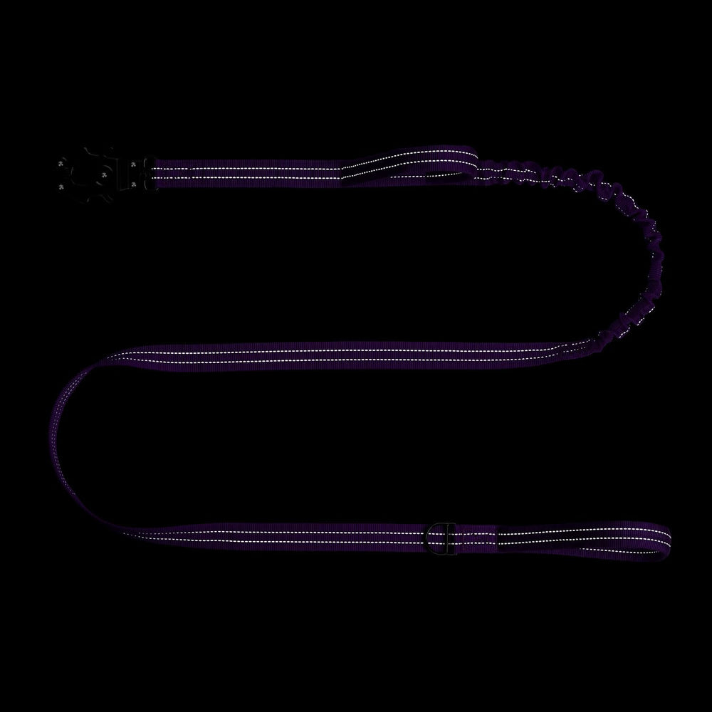 ICEFANG Tactical Dog Leash rear handle and D-ring shown together.