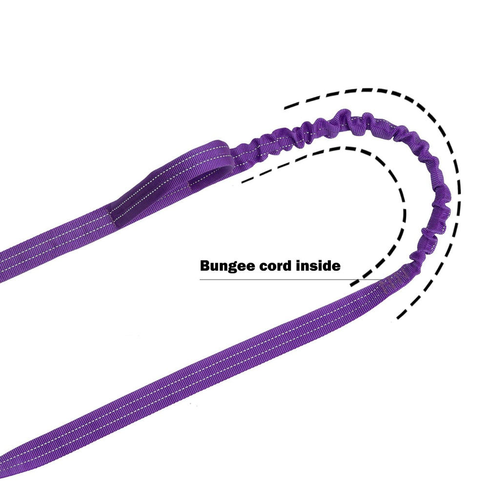 ICEFANG Tactical Dog Leash reflective nylon webbing shown close-up.