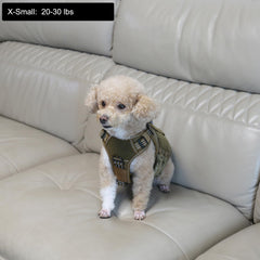 ICEFANG tactical dog harness showing its side MOLLE panels.