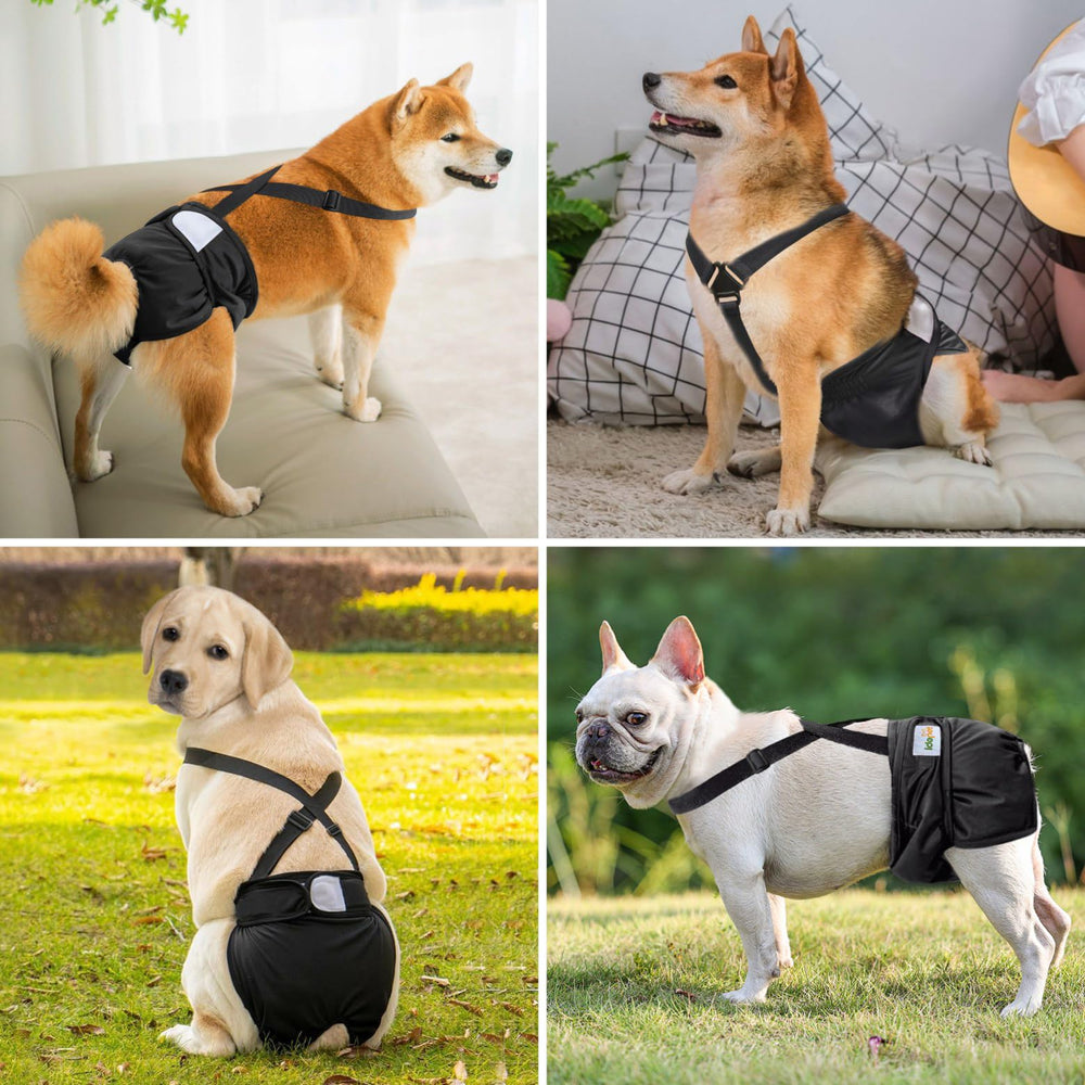 Idepet female dog diaper showing the sewn-in absorbent pad.