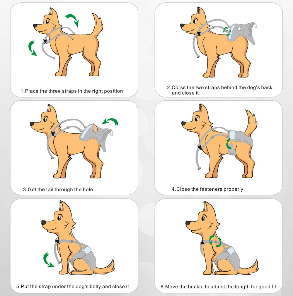 Idepet female dog diaper shown with its available size options.