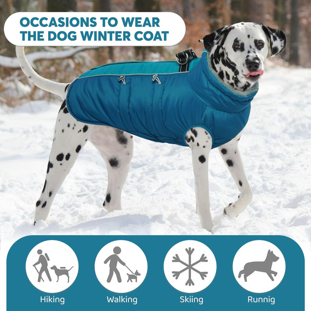 IDOMIK dog coat detail showing the adjustable drawstrings and hind leg straps.