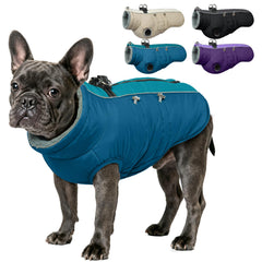 IDOMIK dog coat shown from the front in green.