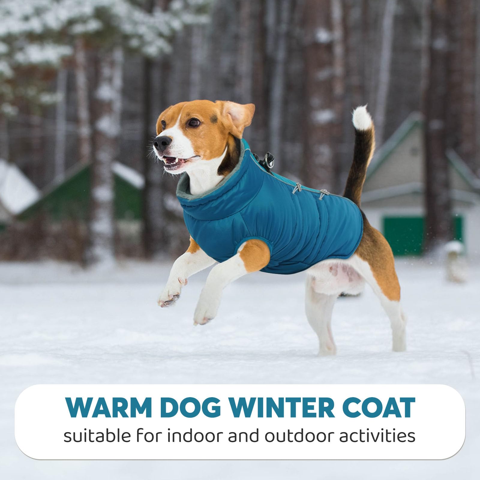 IDOMIK dog coat shown worn outdoors for a cold-weather outing.