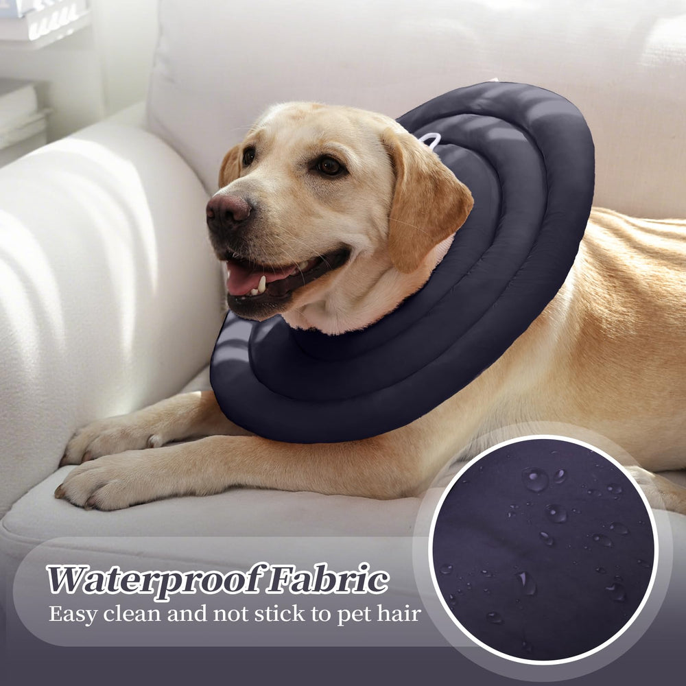 IDOMIK Dog Recovery Collar with its adjustable strap visible.