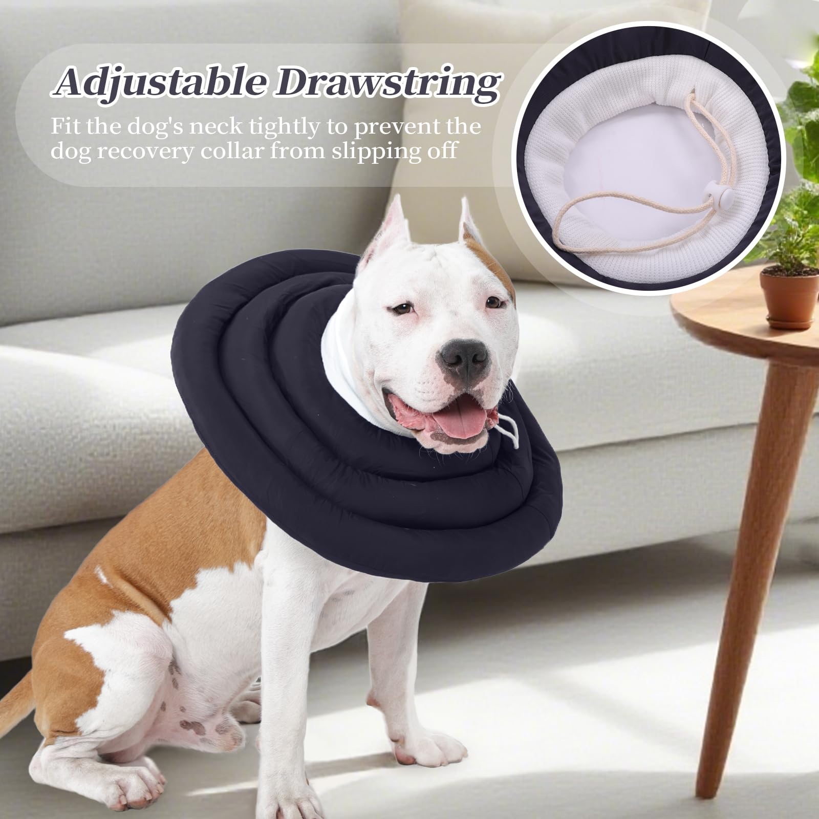 IDOMIK Dog Recovery Collar adjustment cord and buckle shown in detail.