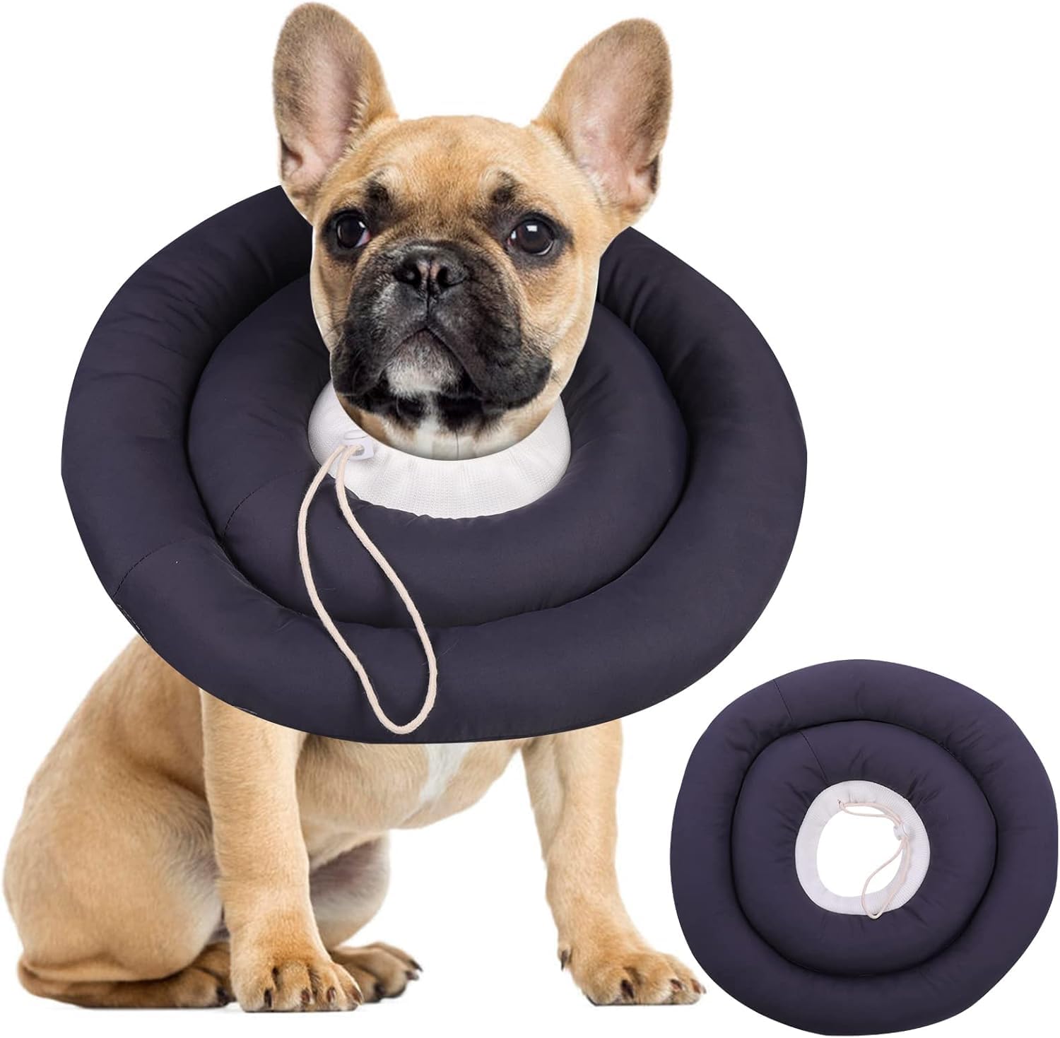 IDOMIK Dog Recovery Collar shown from the front.