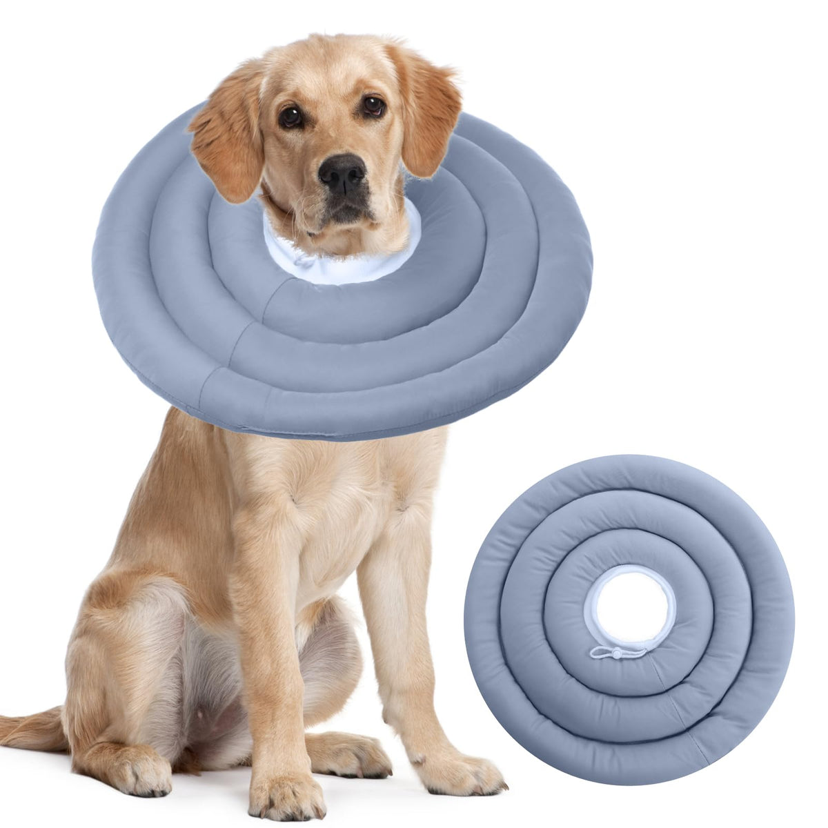 IDOMIK Dog Recovery Collar shown from the front.