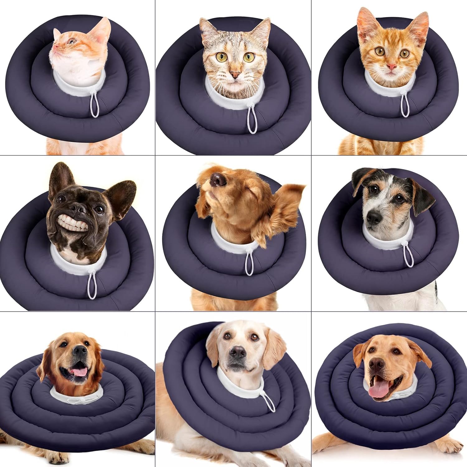 IDOMIK Dog Recovery Collar supporting a dog’s head and neck while resting.