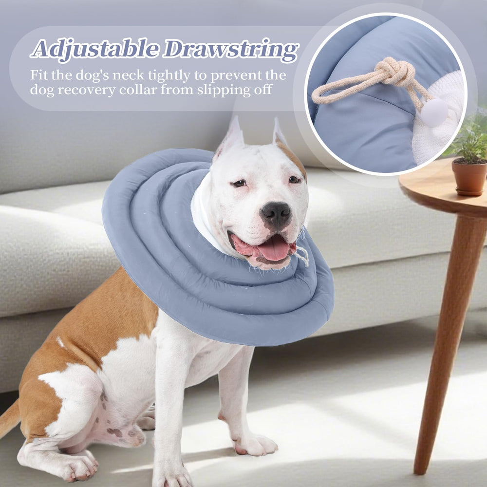 IDOMIK dog recovery collar showing its circular adjustment rings.