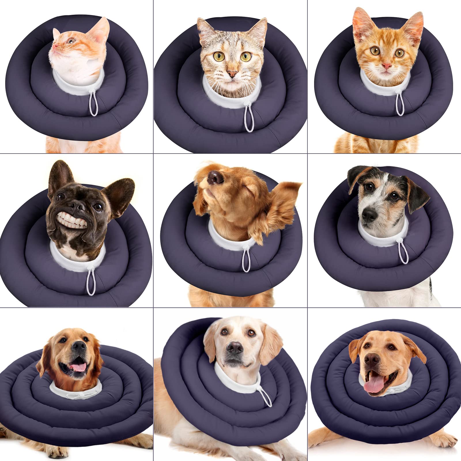 IDOMIK Dog Recovery Collar showing its circle rings.