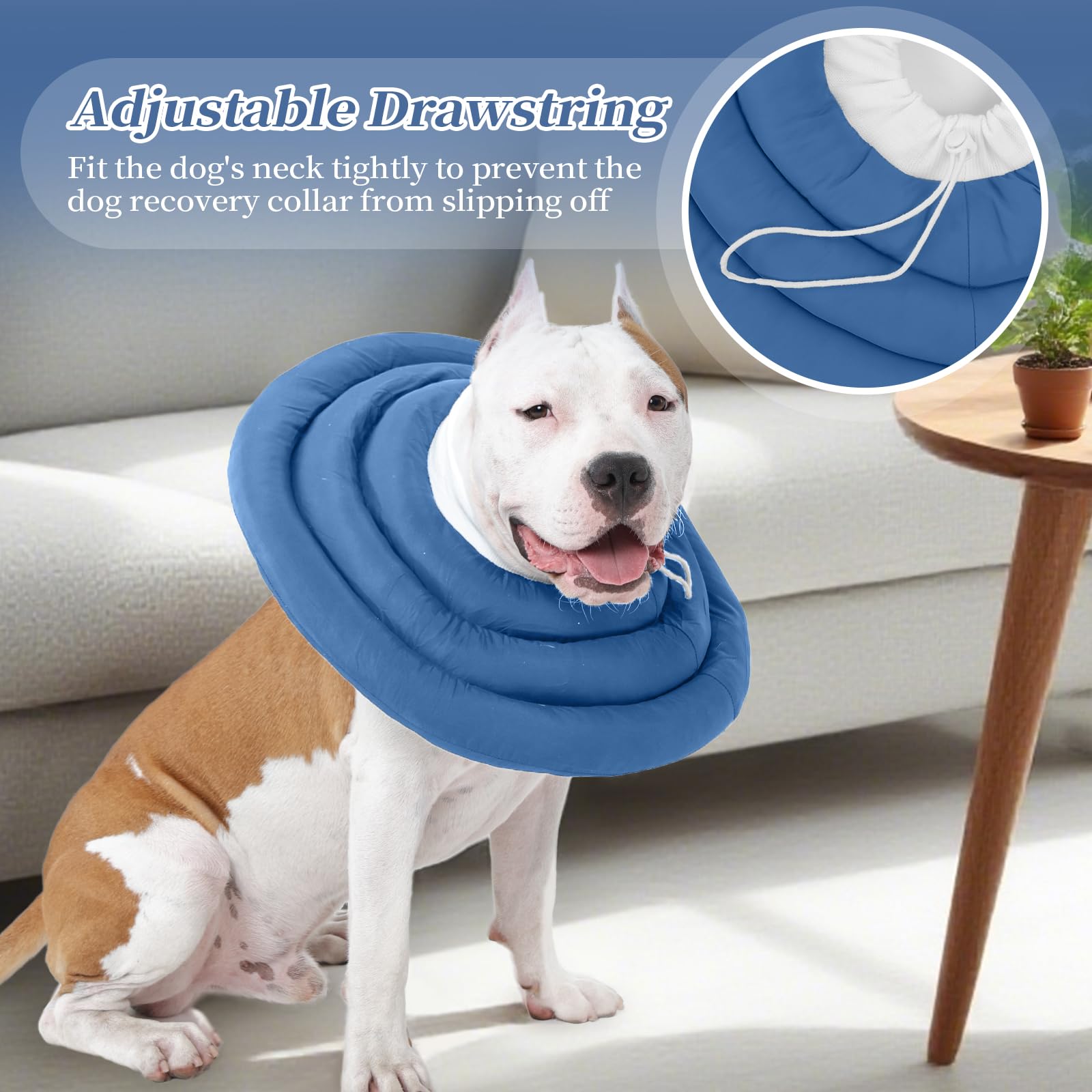 A dog wearing the soft IDOMIK dog recovery collar.