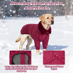 IDOMIK dog winter coat with the high collar folded down.