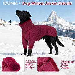 IDOMIK dog winter coat with the high collar raised.