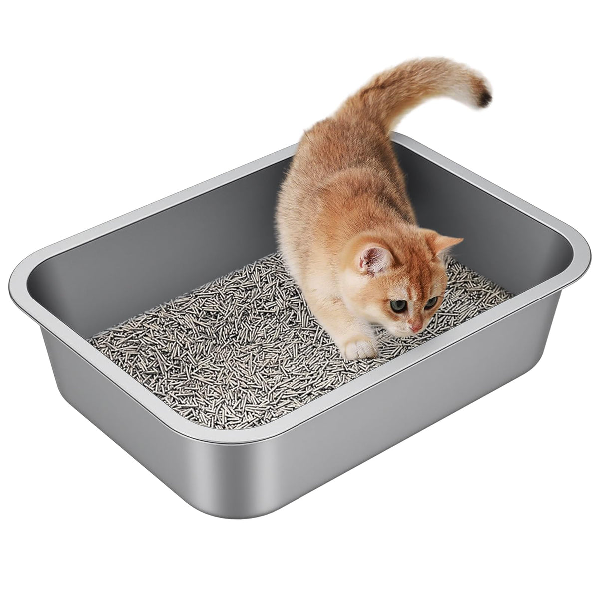 Idymere small stainless steel cat litter box shown from the front with its open pan visible.