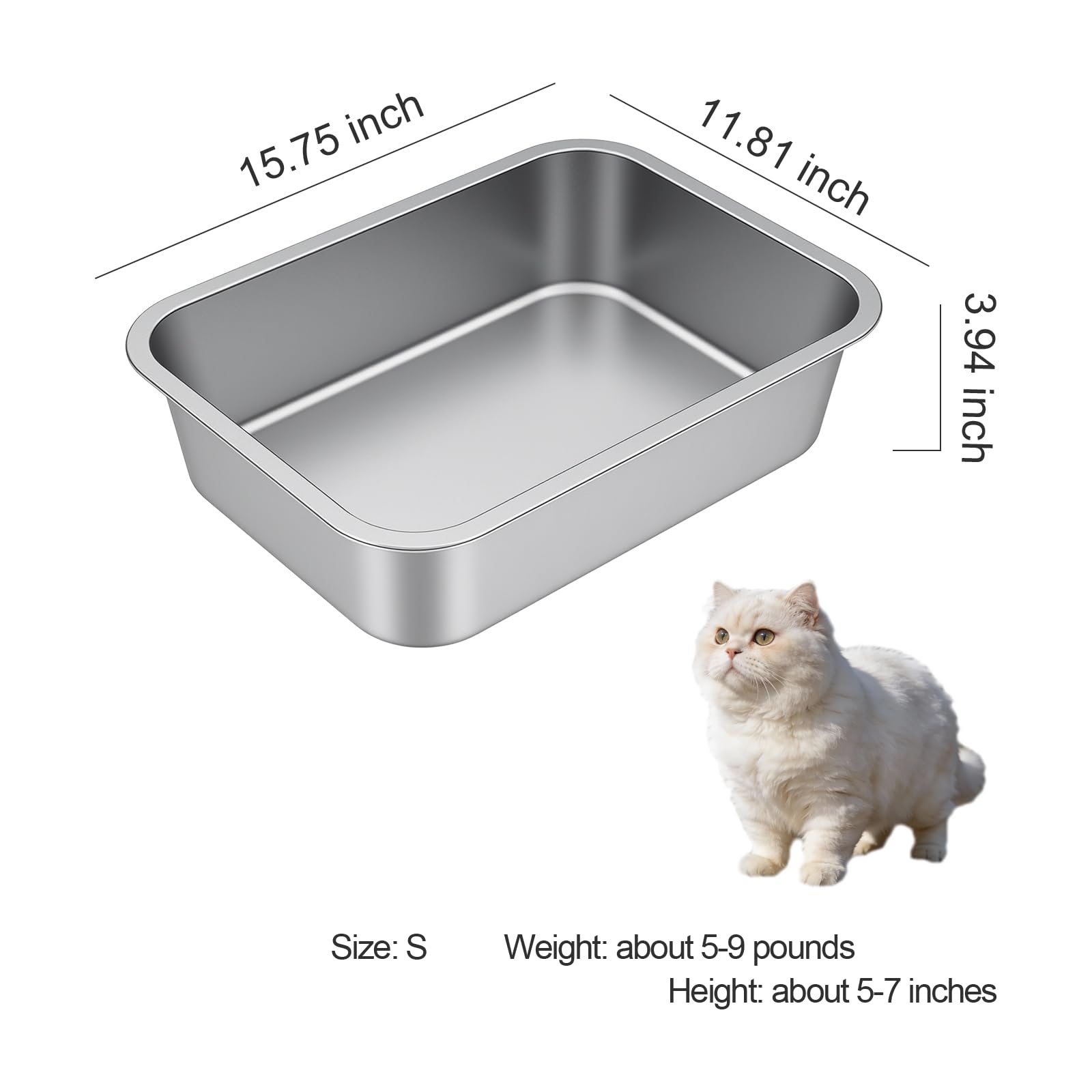 Idymere small stainless steel cat litter box interior showing the smooth metal surface.