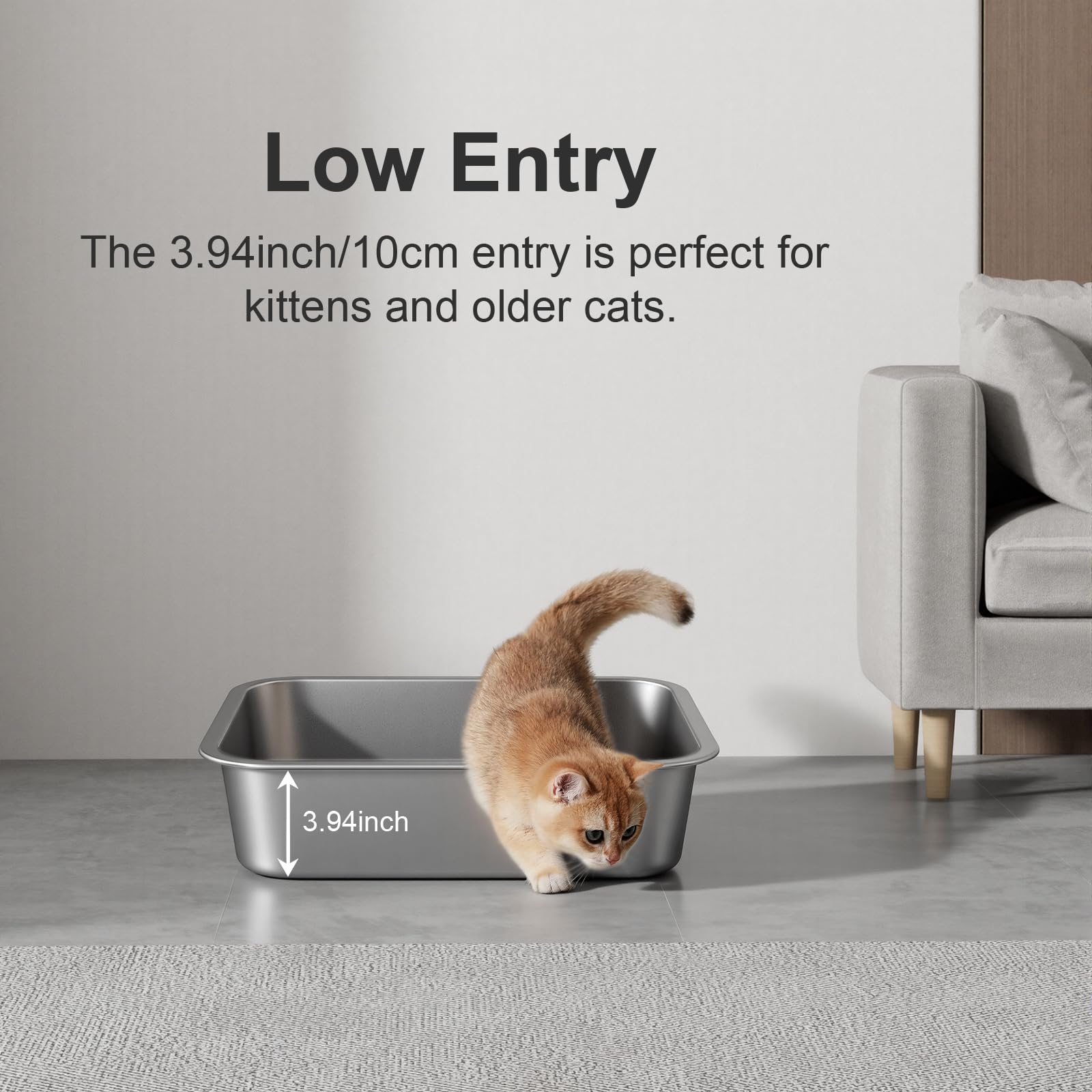 Idymere small stainless steel cat litter box shown in use by a kitten.