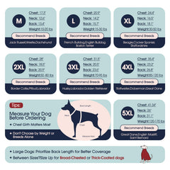 IECOii dog sweater shown from the back.